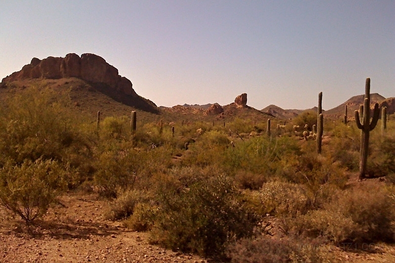 Pictures from iPhone 077.jpg